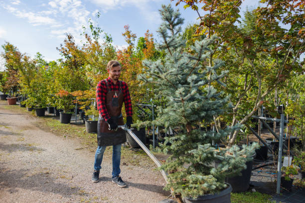 Mulching Services in Belle Plaine, MN